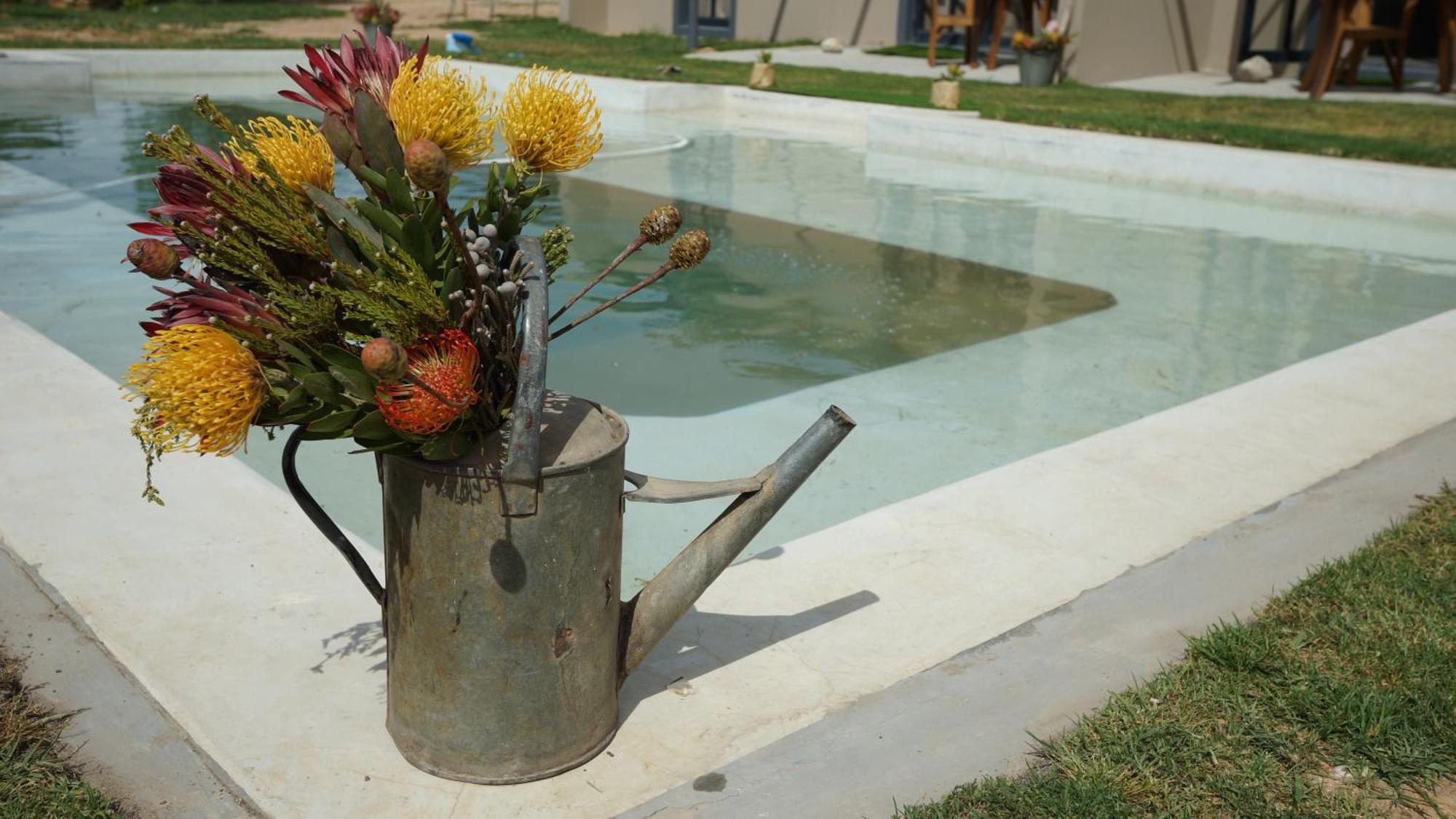 Napier Stellar Overberg Travellers Lodge מראה חיצוני תמונה