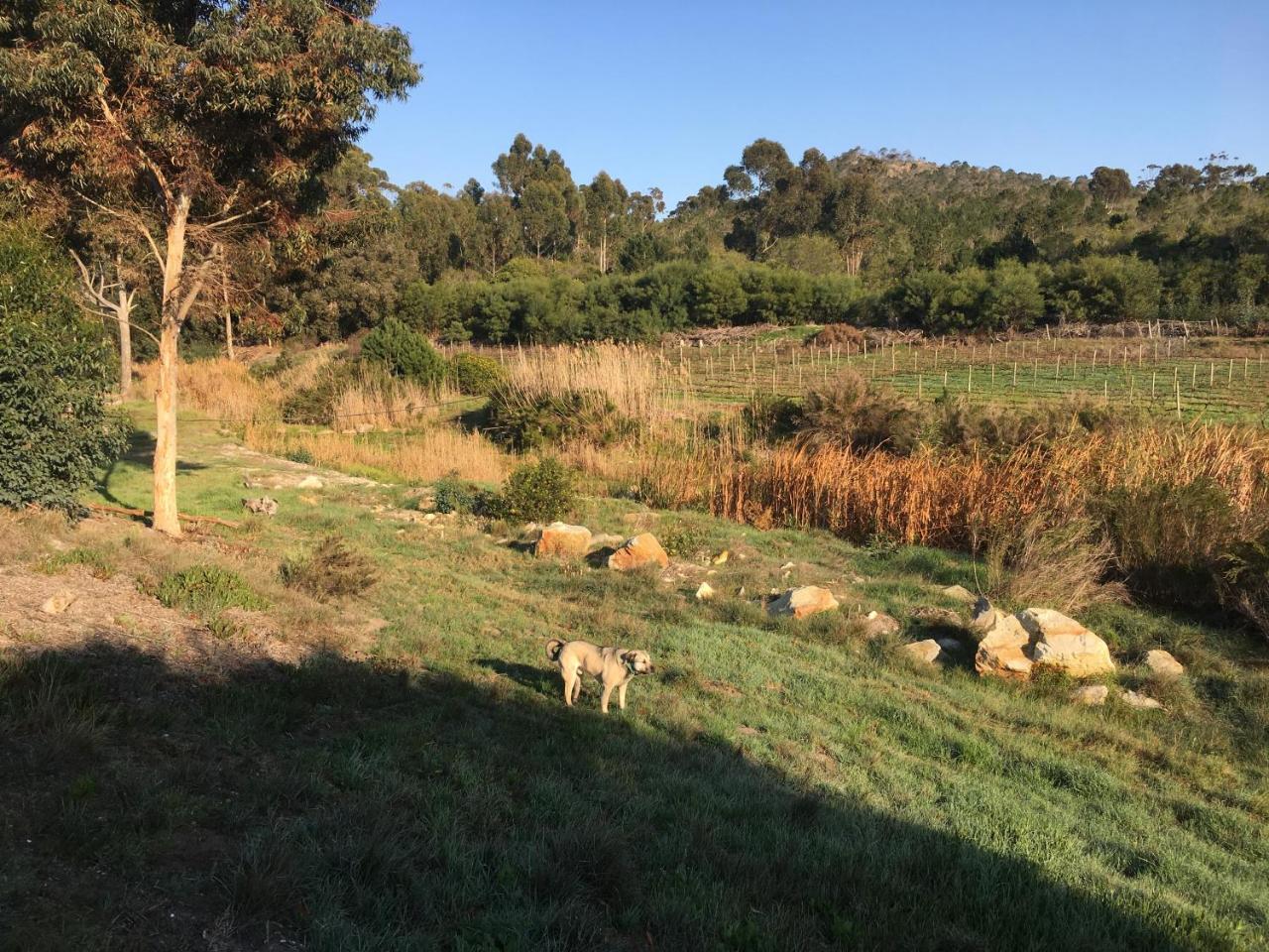 Napier Stellar Overberg Travellers Lodge מראה חיצוני תמונה