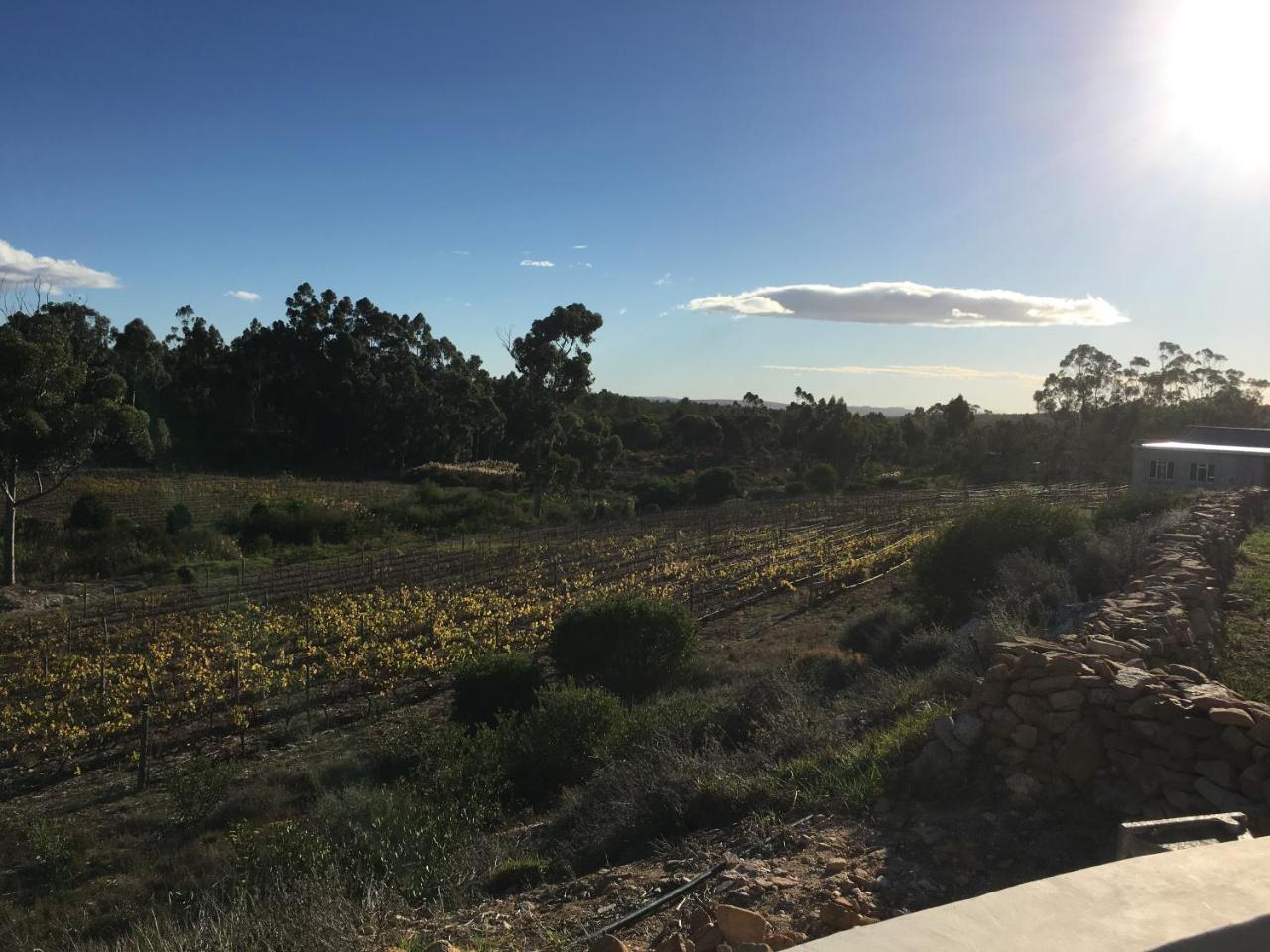Napier Stellar Overberg Travellers Lodge מראה חיצוני תמונה