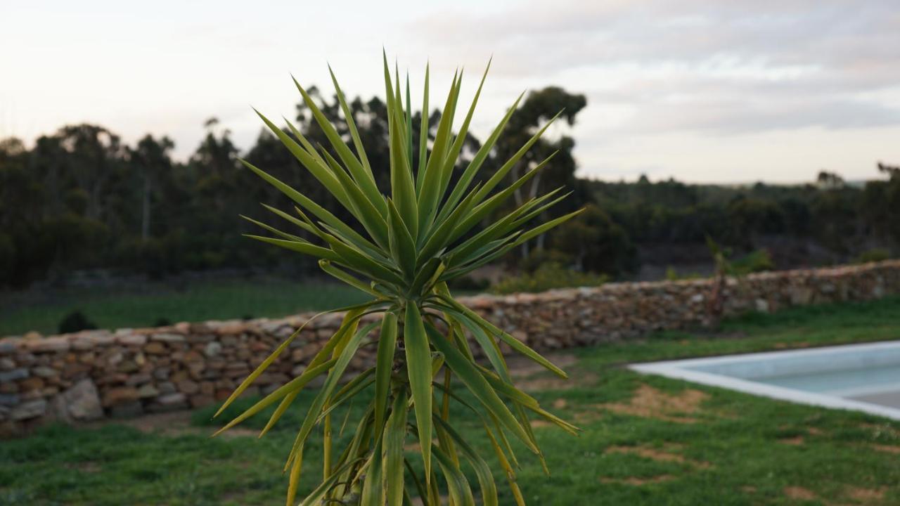 Napier Stellar Overberg Travellers Lodge מראה חיצוני תמונה